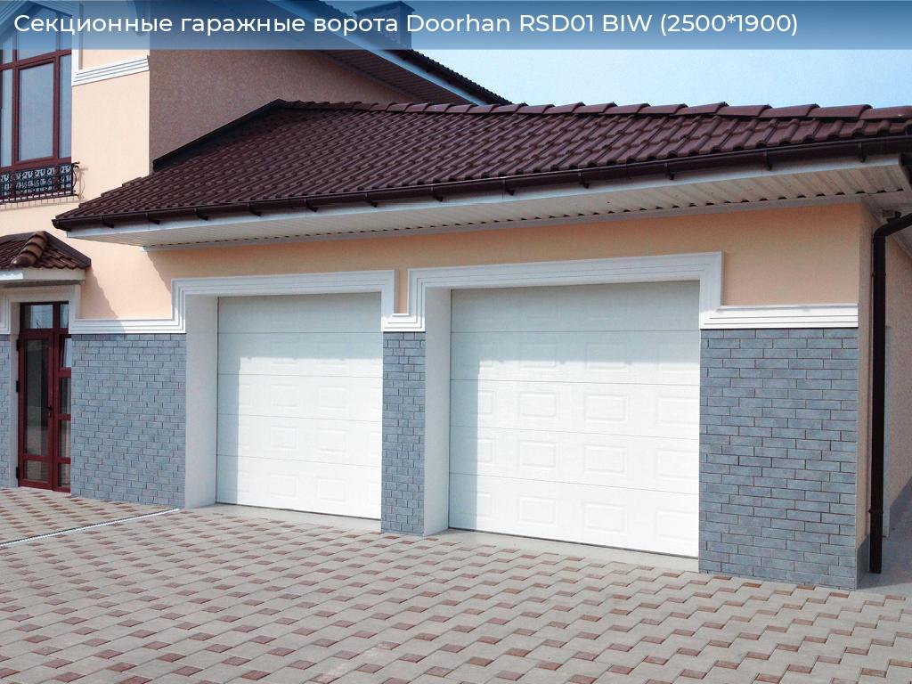 Секционные гаражные ворота Doorhan RSD01 BIW (2500*1900), 