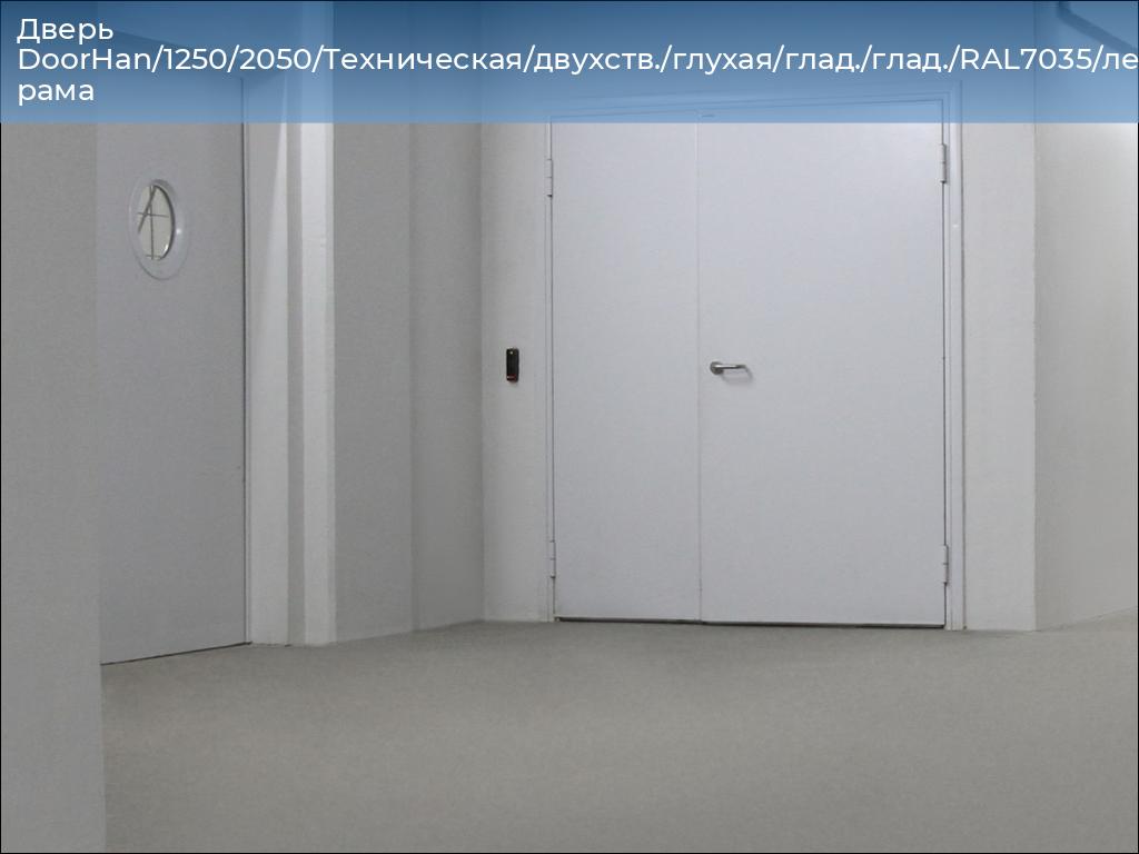 Дверь DoorHan/1250/2050/Техническая/двухств./глухая/глад./глад./RAL7035/лев./угл. рама, 