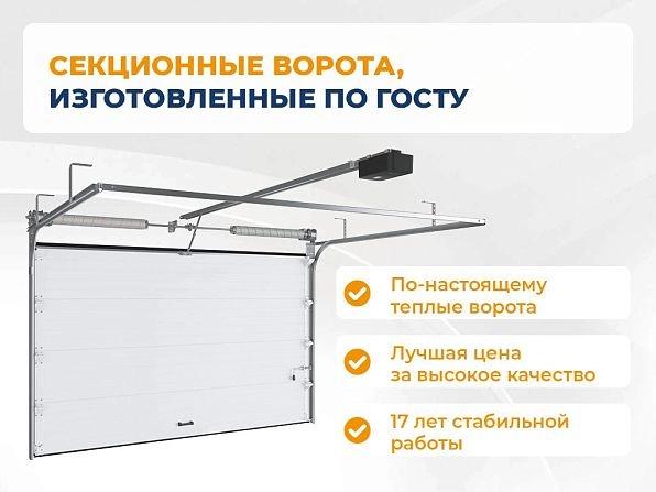 Секционные ворота 2500х2100 мм белые DoorHan RSD02,